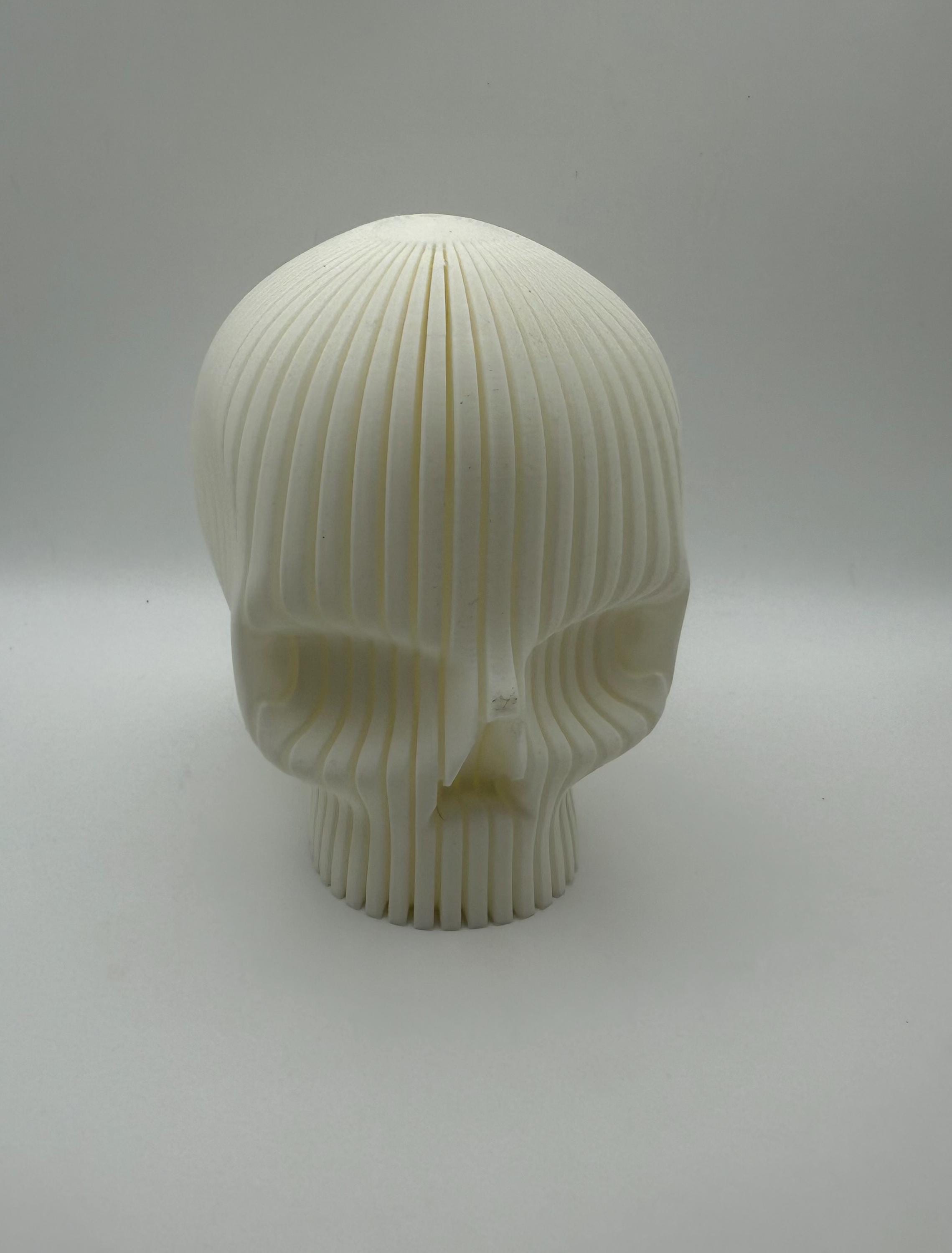 Ribbed Skull Decoration 12cm